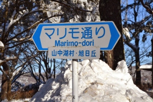 yamanakako winter 2015 road3